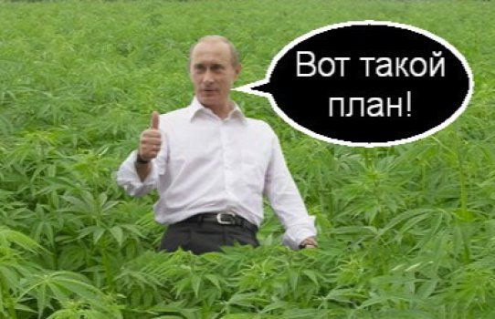 Генеральный план путина