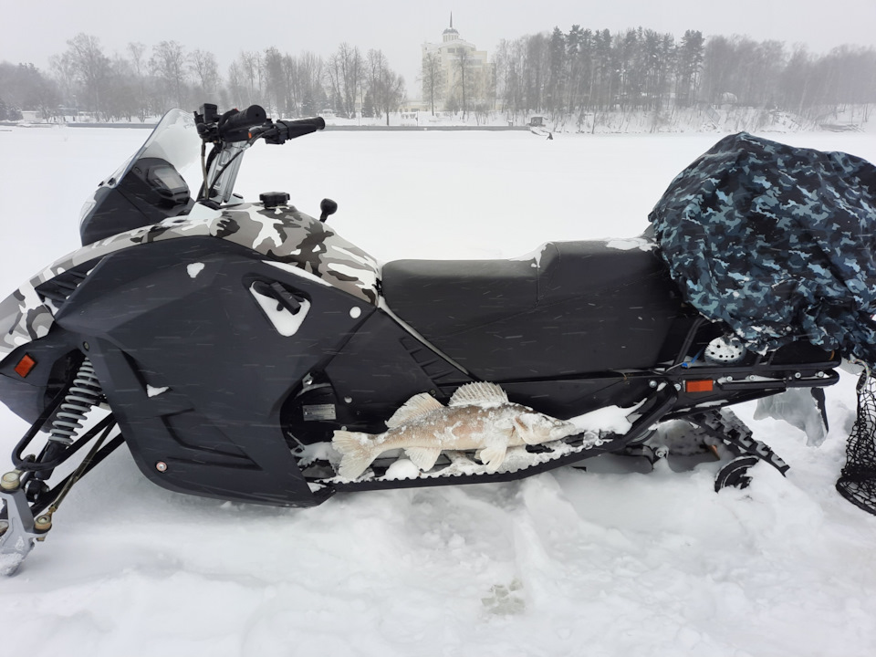 Www snowmobile ru