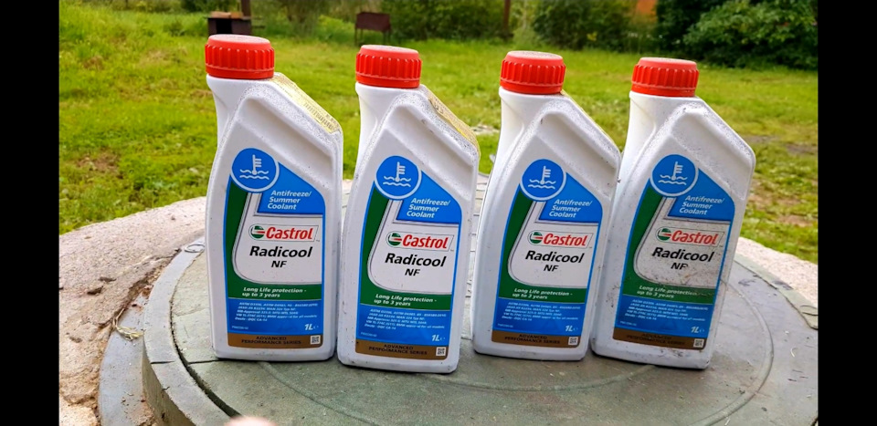 антифриз castrol radicool