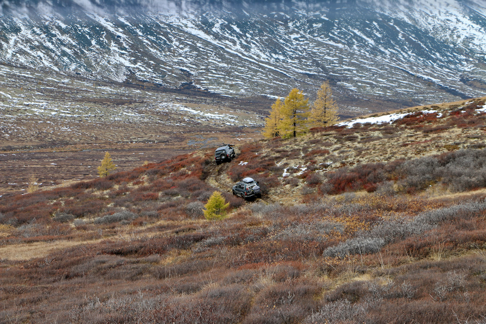 Фото в бортжурнале Toyota Land Cruiser 80