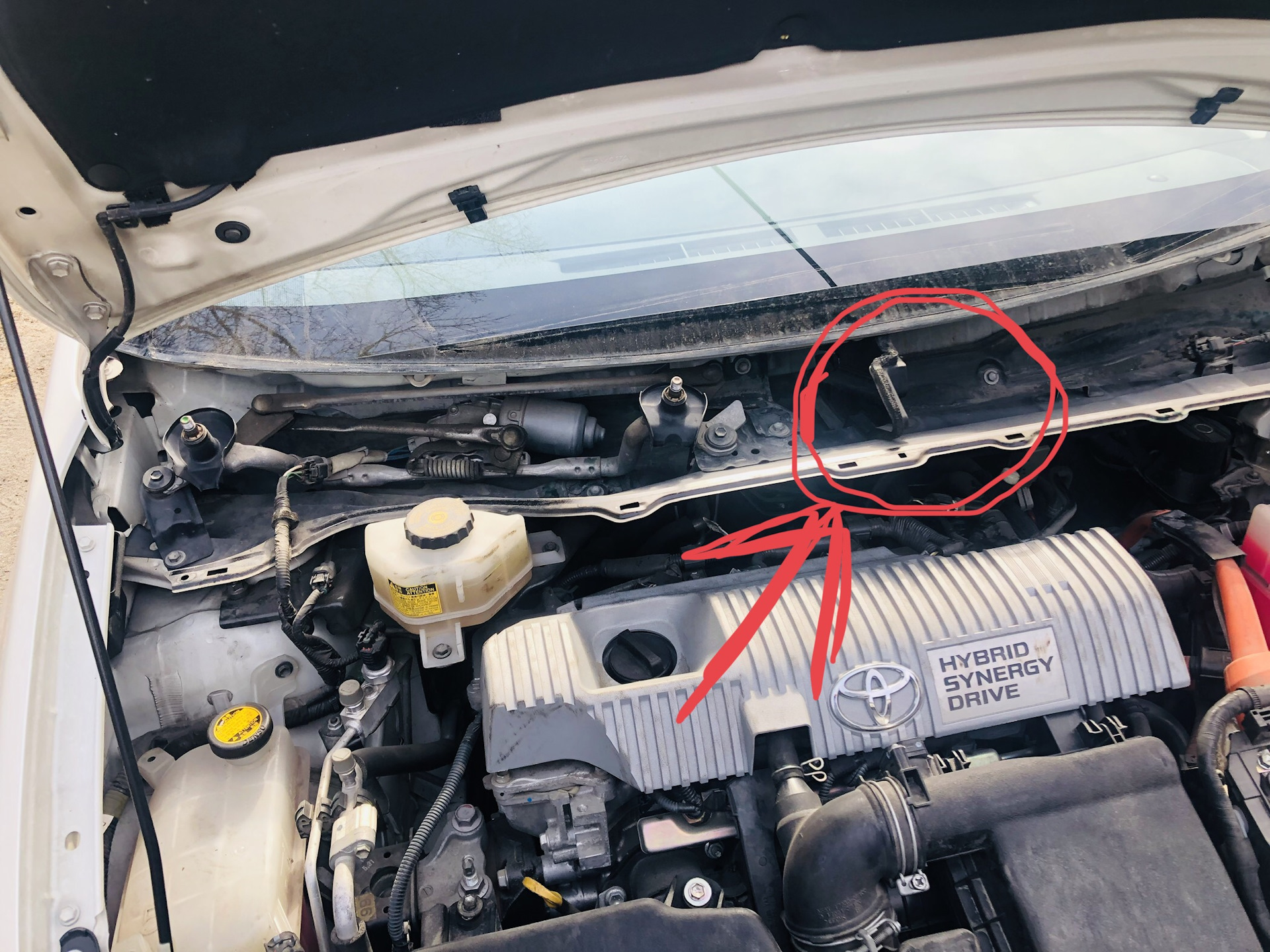 Как снять жабо тойота Устанение, , лишних, , звуков под ЖАБО - Toyota Prius (30), 1,8 л, 2010 года сво