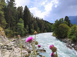 Фото в бортжурнале Haval H6 (1G)