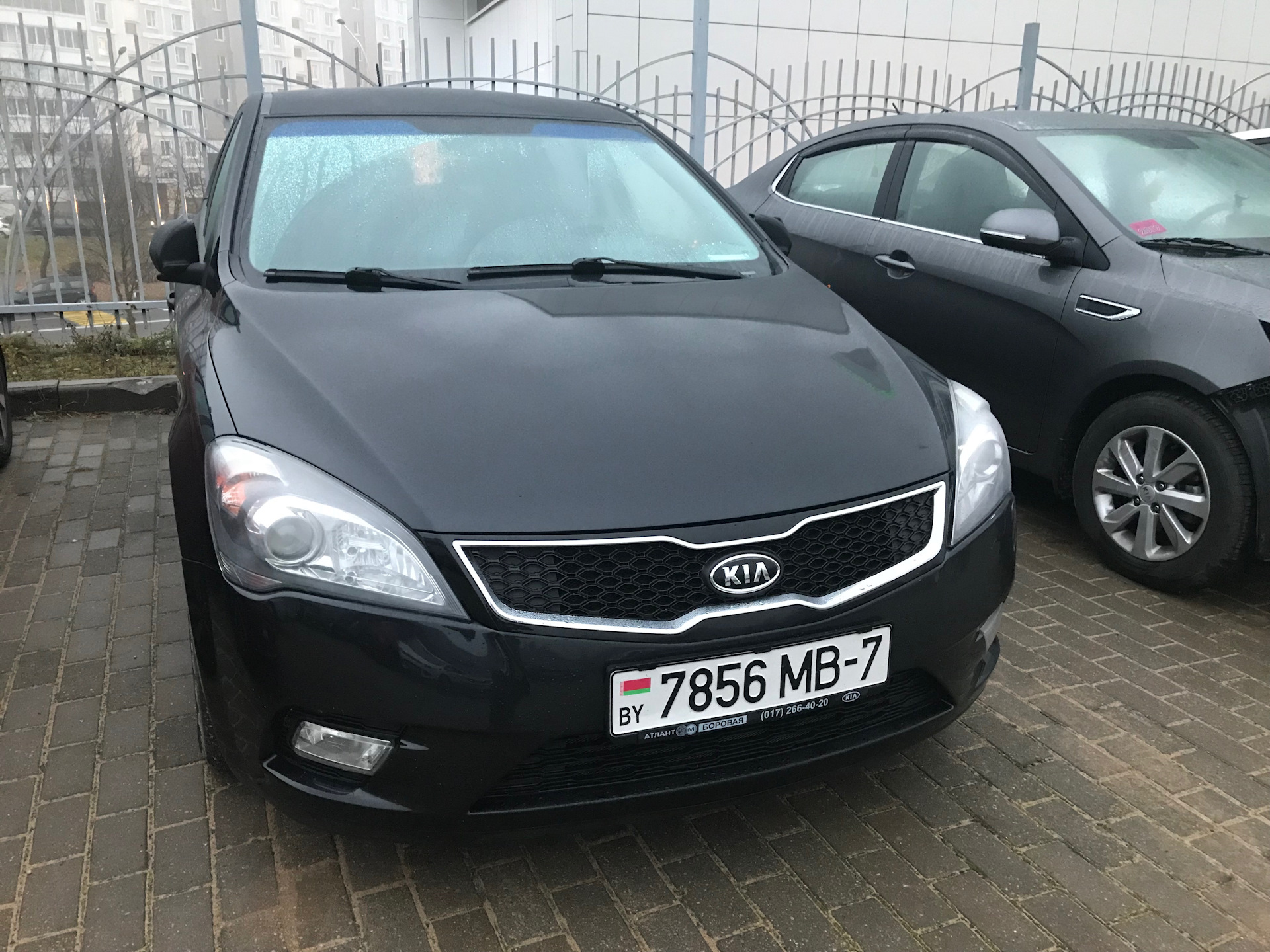 Kia Ceed 2010 антихром