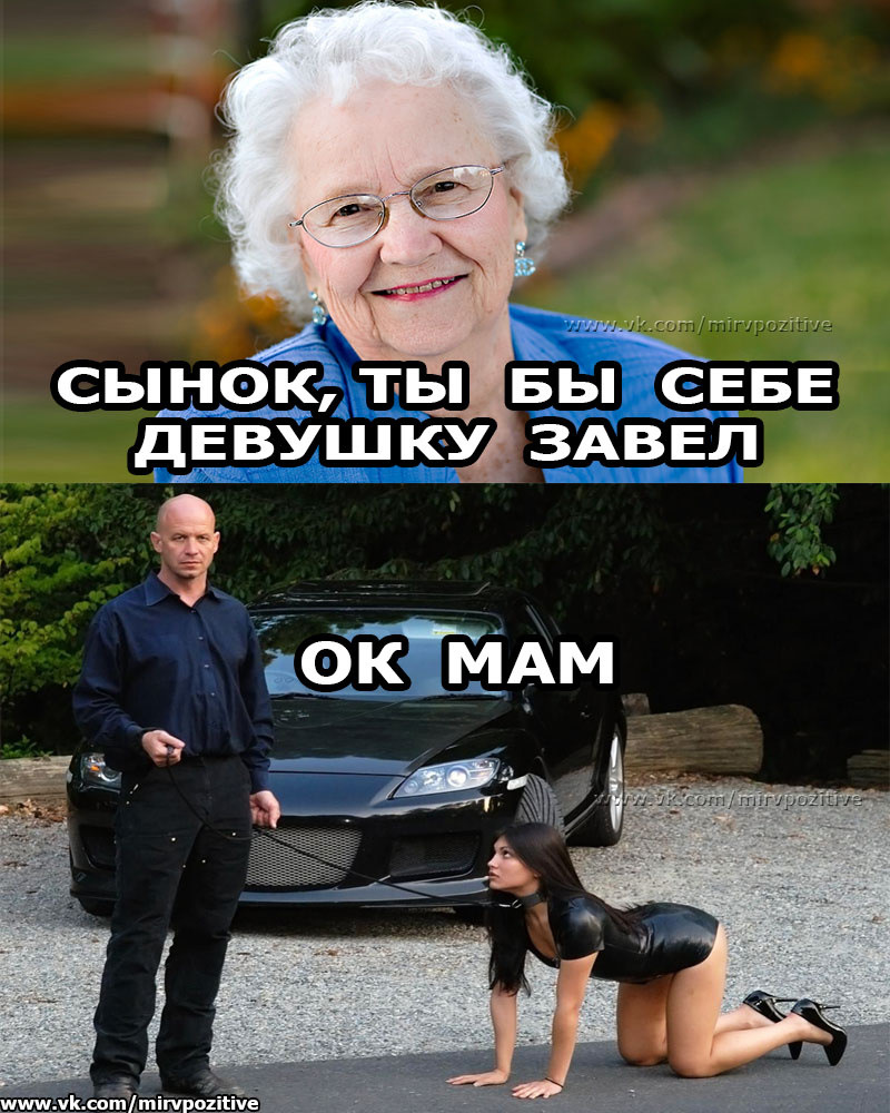 если есть домашние хозяйки то есть и дикие. завел девушку чем кормить. девочка заводила. как завести девушку. если есть домашние хозяйки значит где-то должны быть и дикие.