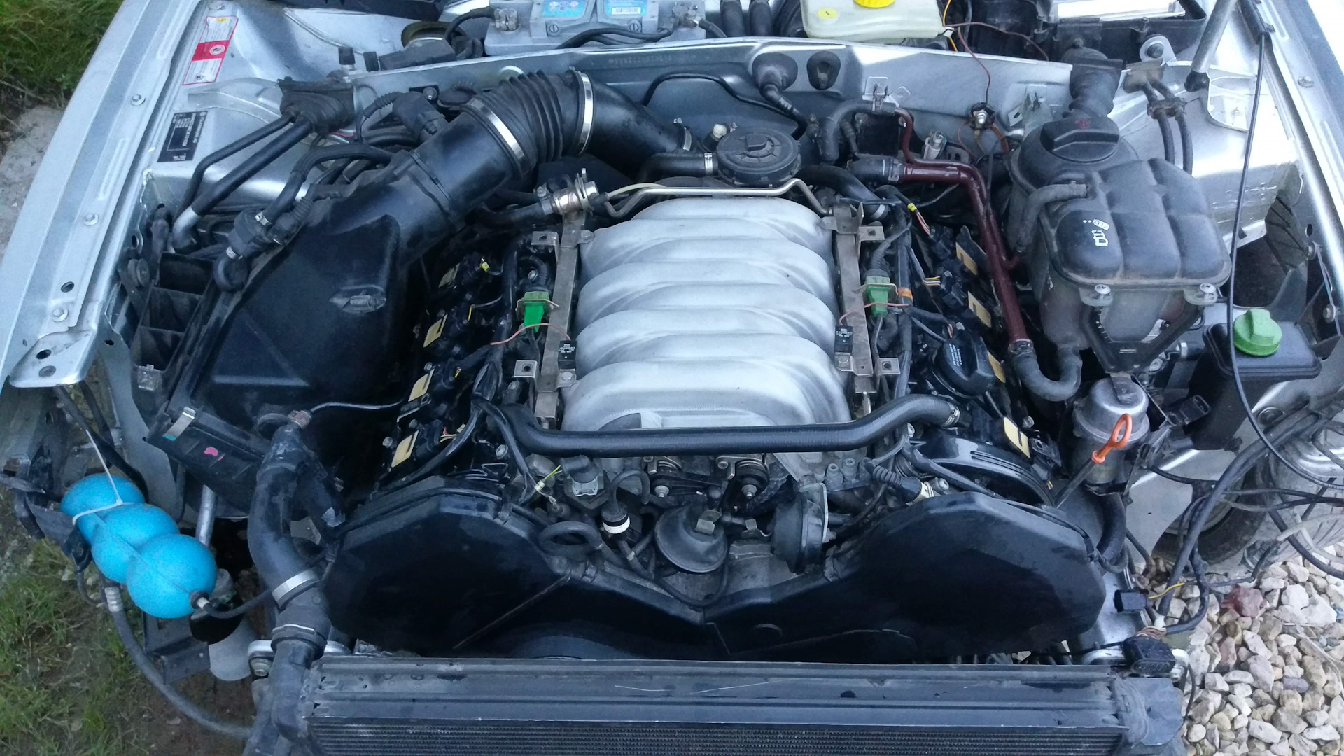 5 8 v. Пассат b5 v8. VW Passat b5 2003. Passat v8 4.0. WV Passat v8
