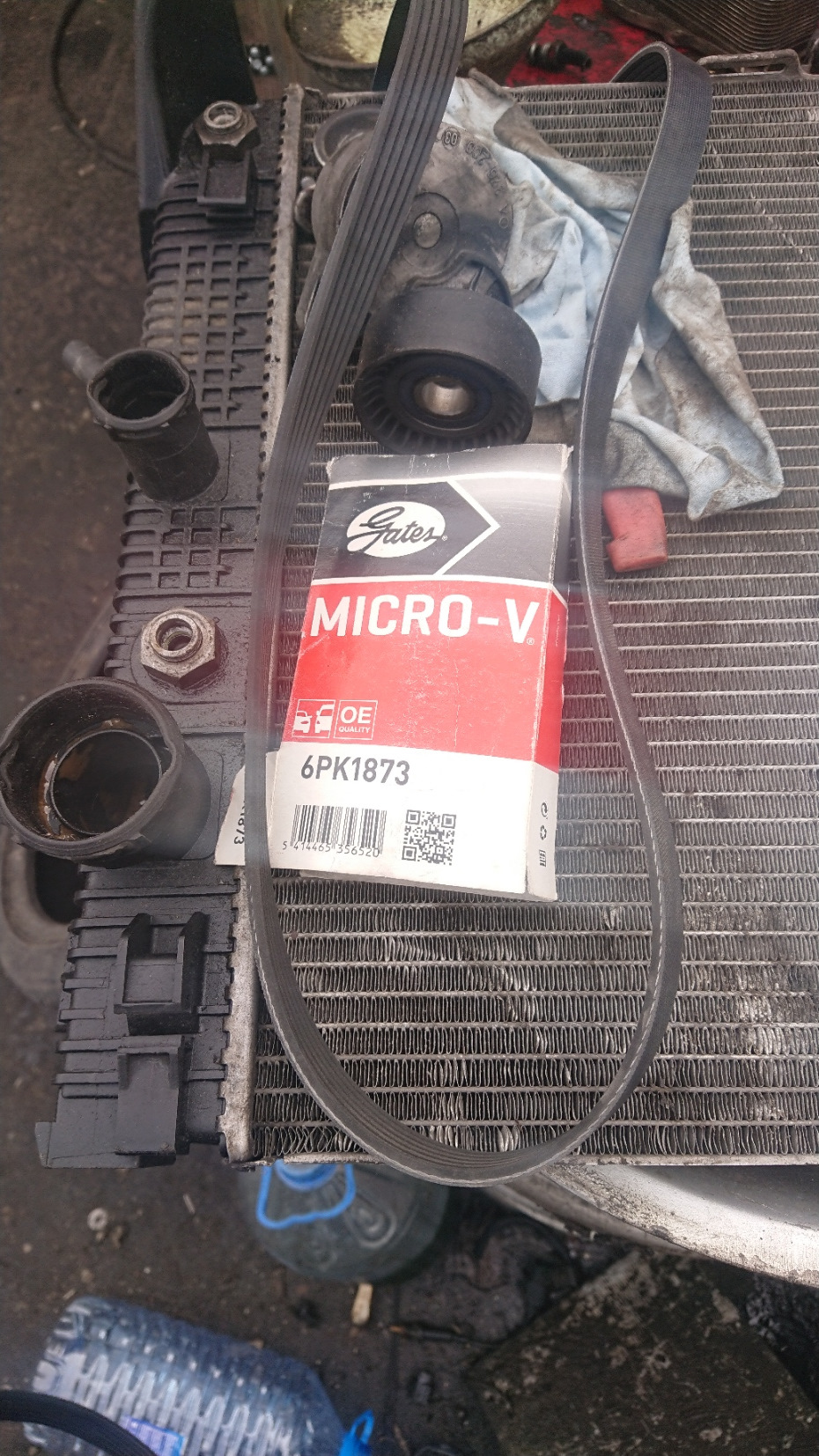 Фото в бортжурнале Mercedes-Benz C-Class (W203)