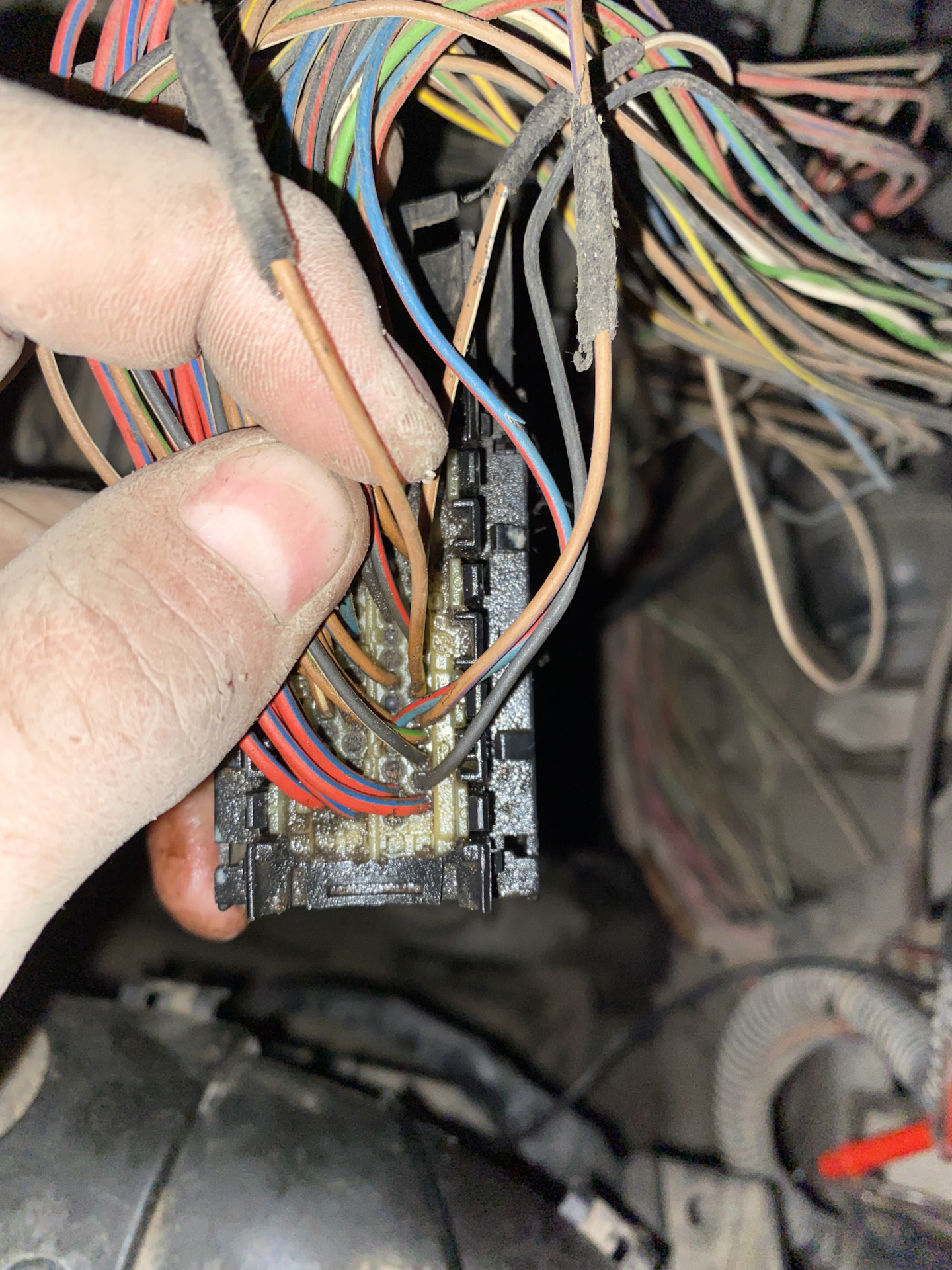 Провода управления одним вентилятором с БУД — Opel Vectra C, 2,2 л ...