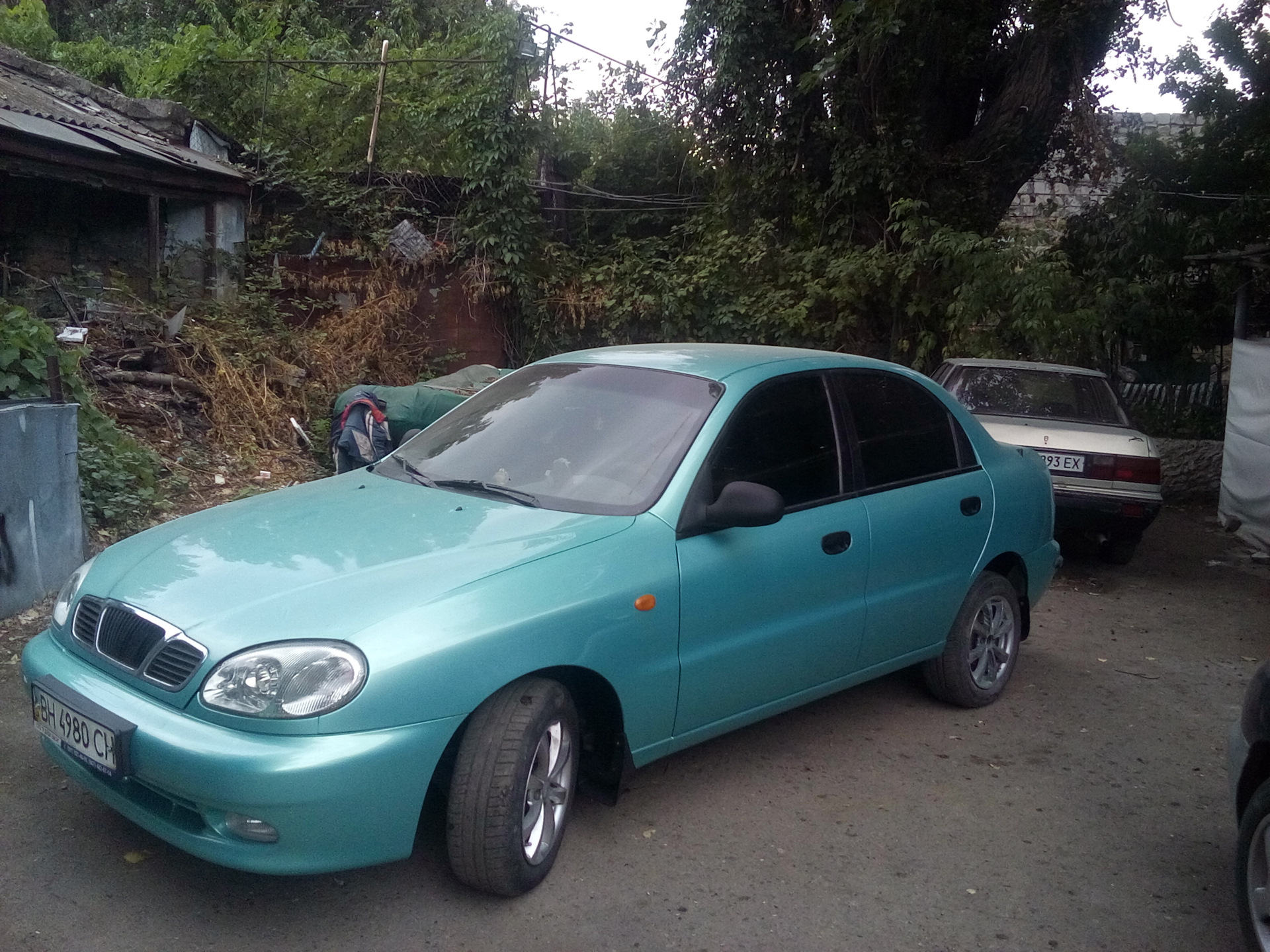 #5_Силиконовые рамки для номеров ПТП64 — Hyundai Solaris (2G), 1,6 л ...