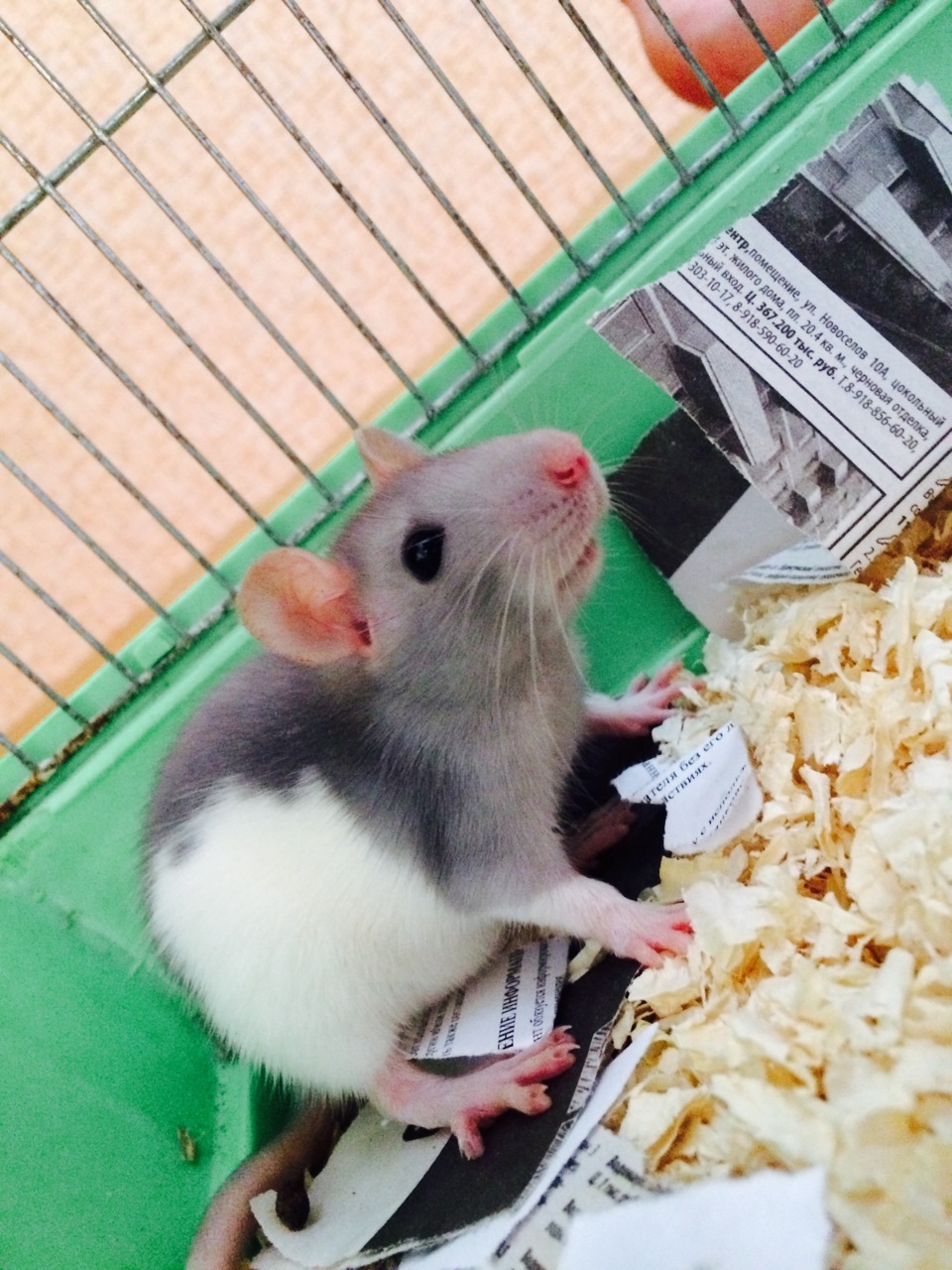 Поездка в Ставрополь — Lada Гранта, 1,6 л, 2014 года | путешествие | DRIVE2