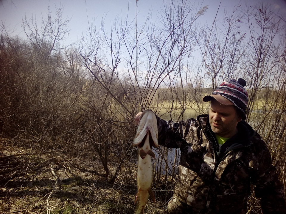 Рыбалочка. Ну тут сухо. — DRIVE2