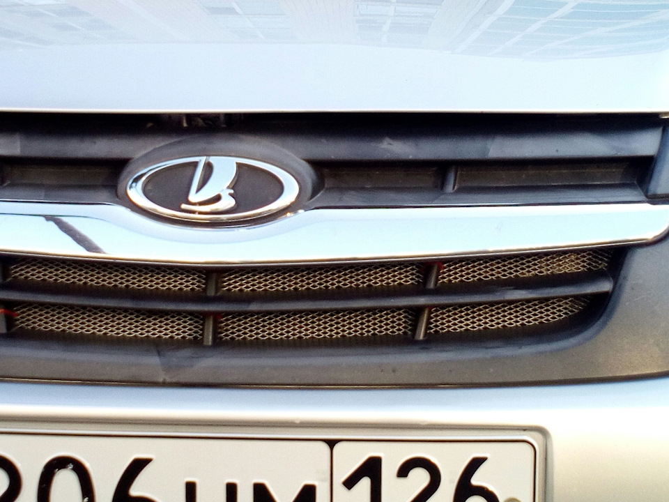 Защитная сетка — Lada Гранта, 1,6 л, 2013 года | стайлинг | DRIVE2