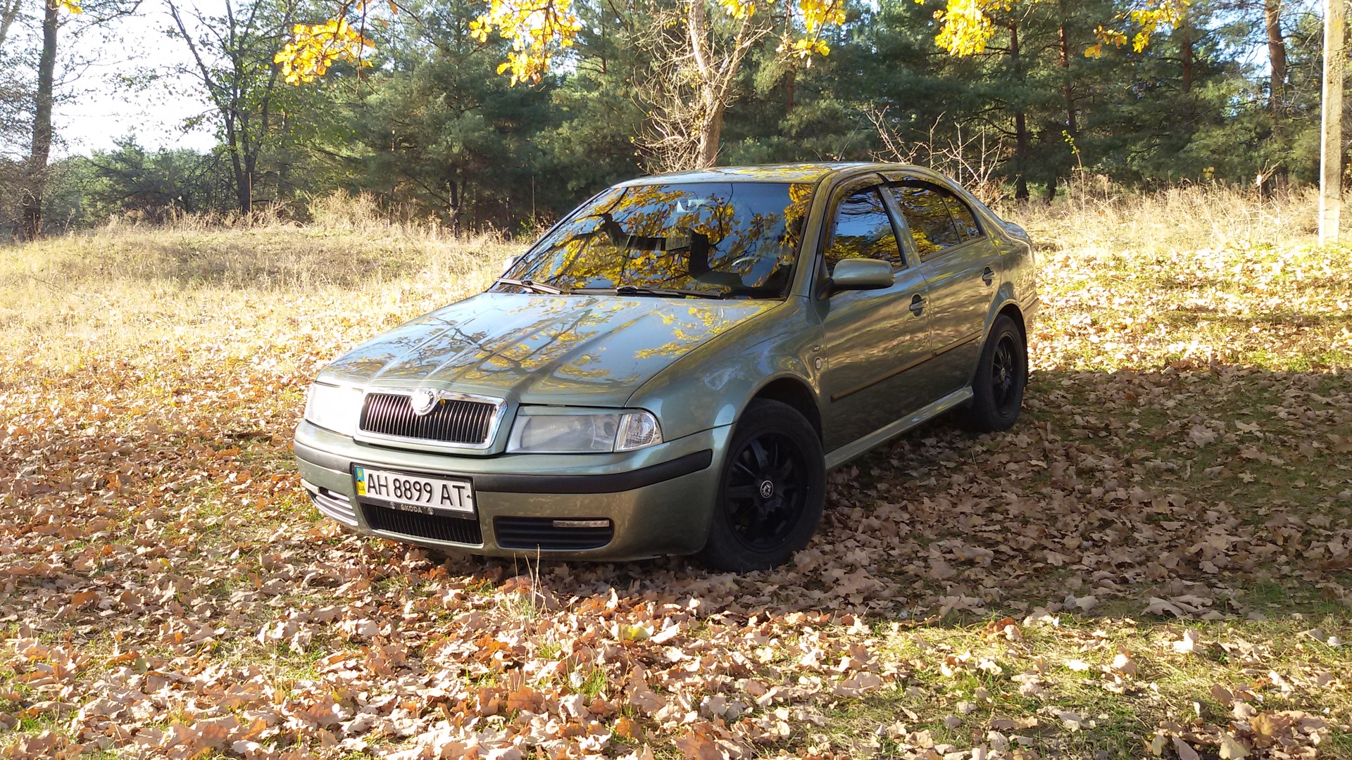 Skoda Octavia A4 Mk1 2.0 бензиновый 2001 | 2.0 