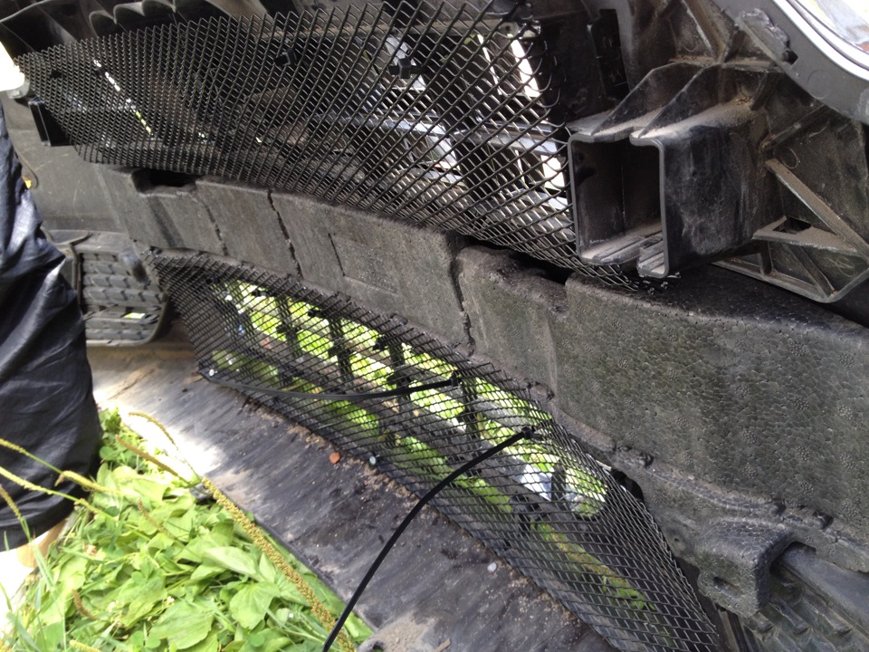 Установка защитной сетки под решетку — Audi A5 Sportback (1G), 2 л ...