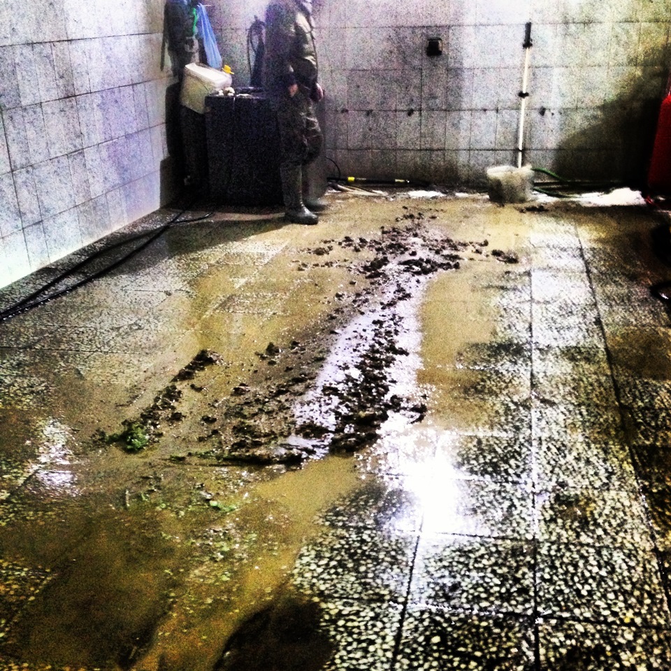 Онлайн диагностика привода и подвески))) — Porsche Cayenne (1G) 955/957 ...