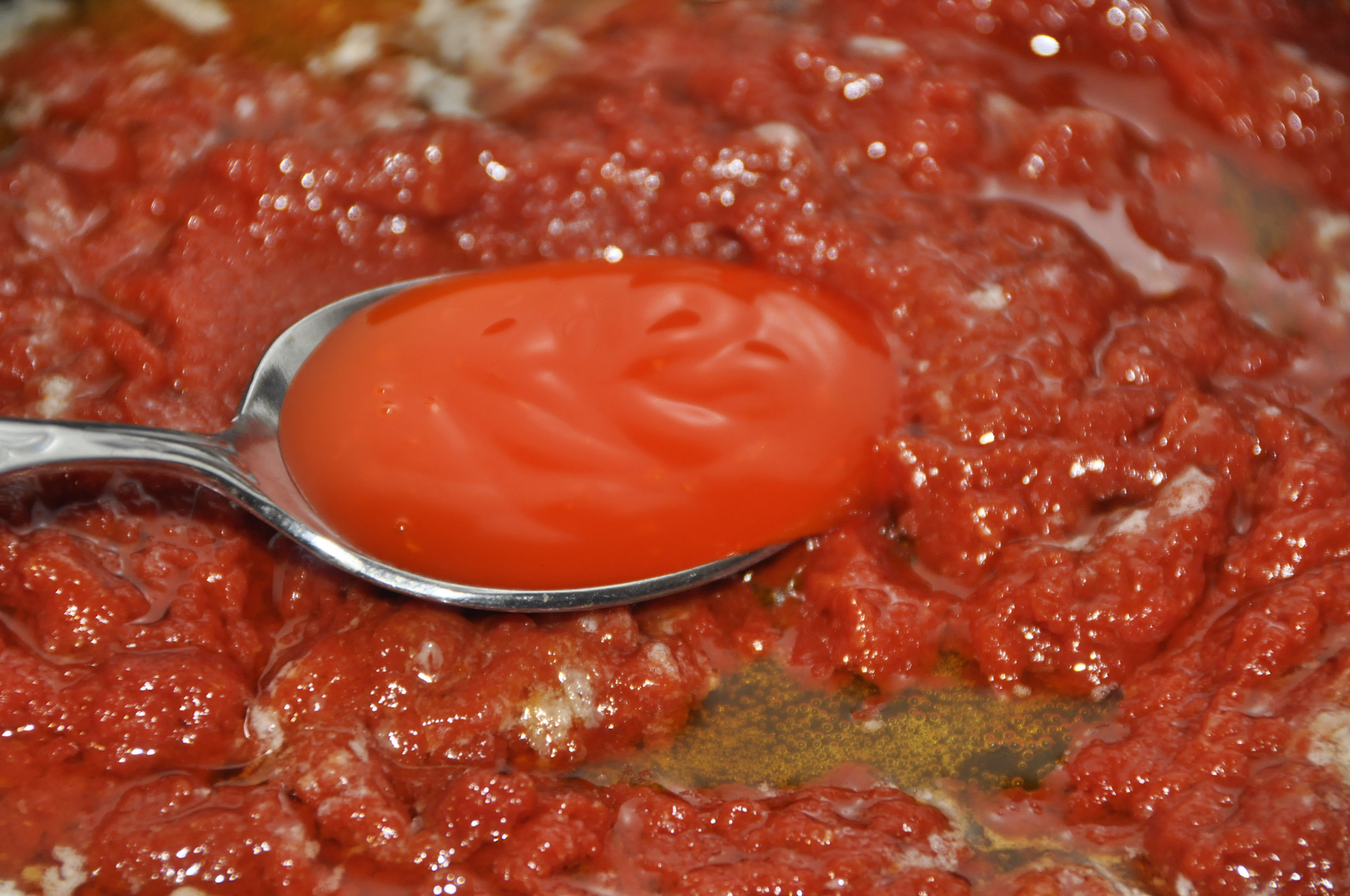 томатная начинка для пиццы из томатной пасты фото 102