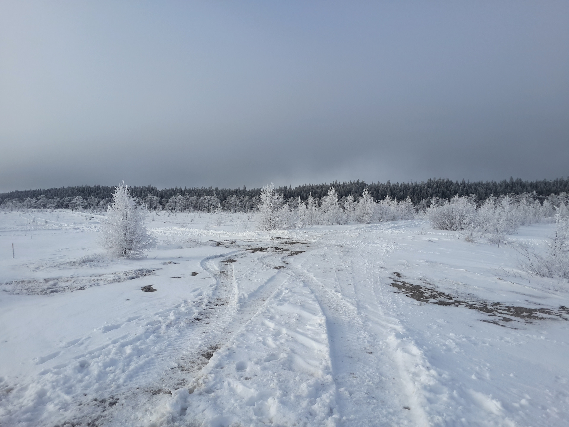 Дорога в Красногорск Сахалинская область зимой