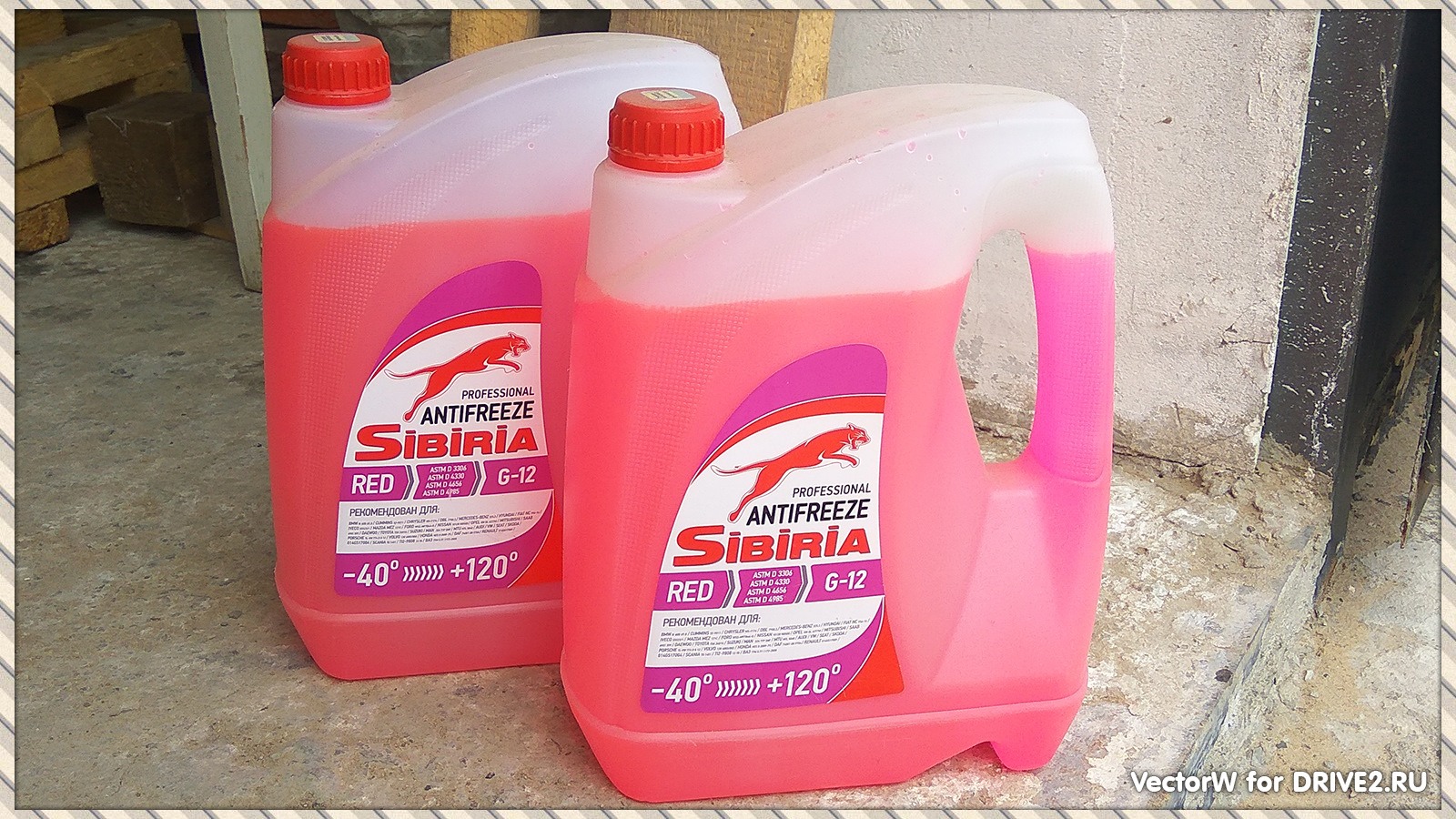 Антифриз некст. Антифриз Сибирь Antifreeze -40 Red. Sibiria Antifreeze g-12. Sibiria Antifreeze g-12 10кг. Sibiria антифриз g-12 (красный) 10кг.