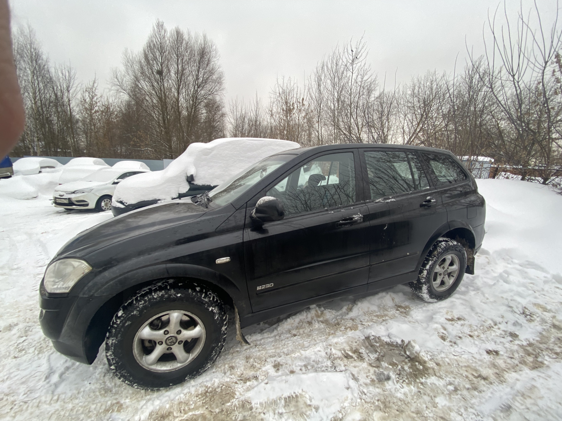 Санг енг 2002 года. Саньенг муссо 2002 год. Ssangyong musso 2002. Саньенг rexton 2002 год. Санг енг 2002 года.