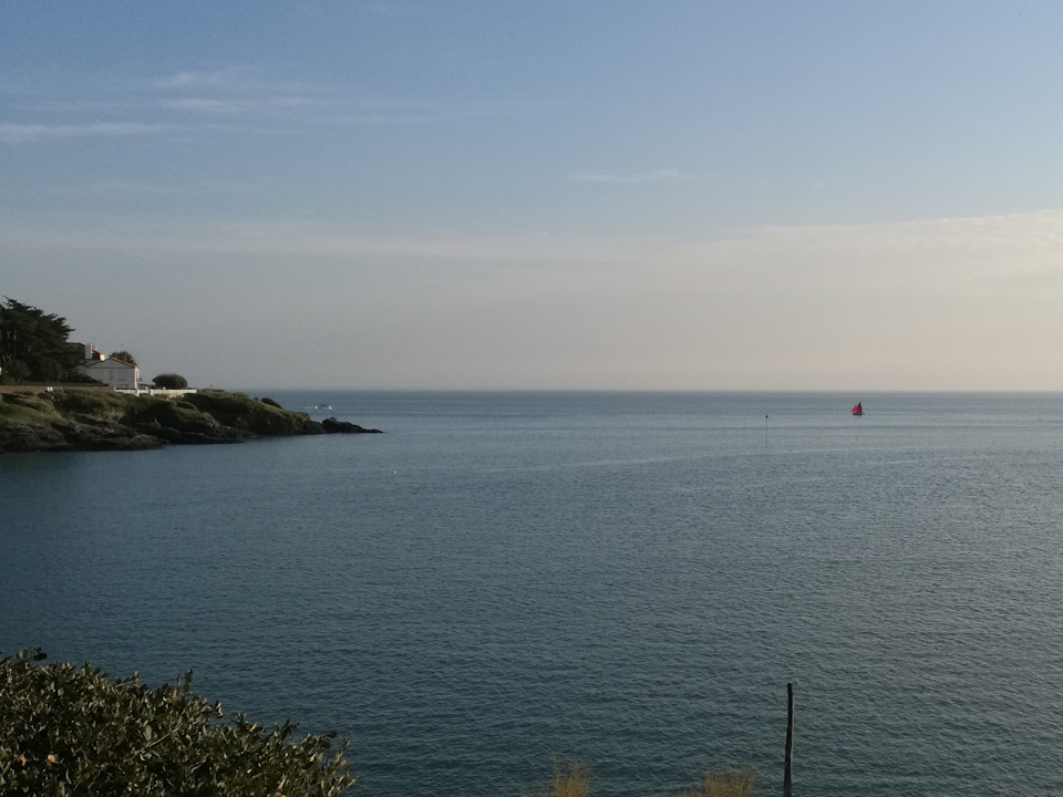 Алые паруса на горизонте. — Audi A4 (B9)