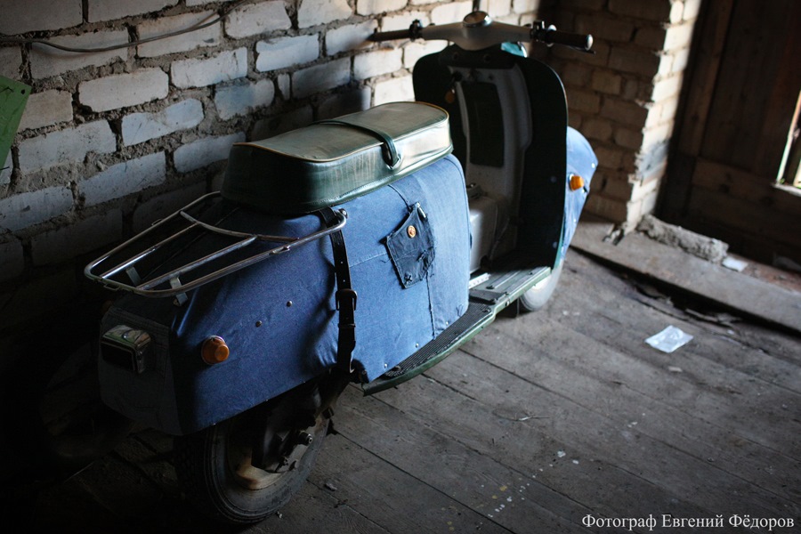 муравей починок