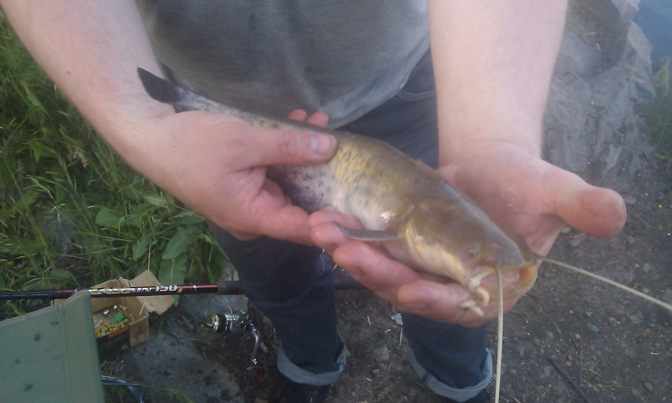 Расход топлива — Lada Калина седан, 1,6 л, 2008 года | наблюдение | DRIVE2