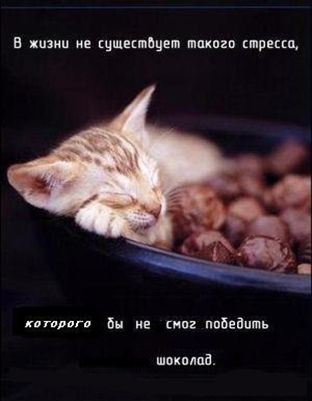 это правда))) — Citroen C1 (1G)