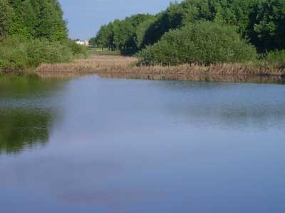 какая самая чистая река в мире. Смотреть фото какая самая чистая река в мире. Смотреть картинку какая самая чистая река в мире. Картинка про какая самая чистая река в мире. Фото какая самая чистая река в мире какая самая чистая река в мире. Смотреть фото какая самая чистая река в мире. Смотреть картинку какая самая чистая река в мире. Картинка про какая самая чистая река в мире. Фото какая самая чистая река в мире