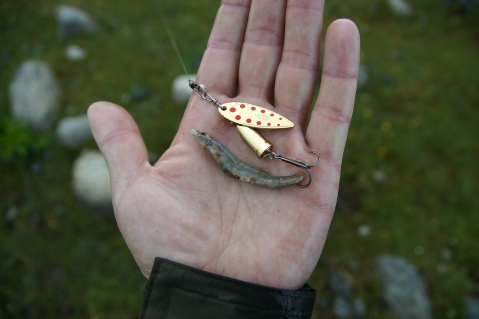 ΡΡΠ±Π° Π² ΡΠ΅ΠΊΠ°Ρ
ΠΌΠΎΠ½Π³ΠΎΠ»ΠΈΠΈ. Π‘ΠΌΠΎΡΡΠ΅ΡΡ ΡΠΎΡΠΎ ΡΡΠ±Π° Π² ΡΠ΅ΠΊΠ°Ρ
ΠΌΠΎΠ½Π³ΠΎΠ»ΠΈΠΈ. Π‘ΠΌΠΎΡΡΠ΅ΡΡ ΠΊΠ°ΡΡΠΈΠ½ΠΊΡ ΡΡΠ±Π° Π² ΡΠ΅ΠΊΠ°Ρ
ΠΌΠΎΠ½Π³ΠΎΠ»ΠΈΠΈ. ΠΠ°ΡΡΠΈΠ½ΠΊΠ° ΠΏΡΠΎ ΡΡΠ±Π° Π² ΡΠ΅ΠΊΠ°Ρ
ΠΌΠΎΠ½Π³ΠΎΠ»ΠΈΠΈ. Π€ΠΎΡΠΎ ΡΡΠ±Π° Π² ΡΠ΅ΠΊΠ°Ρ
ΠΌΠΎΠ½Π³ΠΎΠ»ΠΈΠΈ ΡΡΠ±Π° Π² ΡΠ΅ΠΊΠ°Ρ
ΠΌΠΎΠ½Π³ΠΎΠ»ΠΈΠΈ. Π‘ΠΌΠΎΡΡΠ΅ΡΡ ΡΠΎΡΠΎ ΡΡΠ±Π° Π² ΡΠ΅ΠΊΠ°Ρ
ΠΌΠΎΠ½Π³ΠΎΠ»ΠΈΠΈ. Π‘ΠΌΠΎΡΡΠ΅ΡΡ ΠΊΠ°ΡΡΠΈΠ½ΠΊΡ ΡΡΠ±Π° Π² ΡΠ΅ΠΊΠ°Ρ
ΠΌΠΎΠ½Π³ΠΎΠ»ΠΈΠΈ. ΠΠ°ΡΡΠΈΠ½ΠΊΠ° ΠΏΡΠΎ ΡΡΠ±Π° Π² ΡΠ΅ΠΊΠ°Ρ
ΠΌΠΎΠ½Π³ΠΎΠ»ΠΈΠΈ. Π€ΠΎΡΠΎ ΡΡΠ±Π° Π² ΡΠ΅ΠΊΠ°Ρ
ΠΌΠΎΠ½Π³ΠΎΠ»ΠΈΠΈ