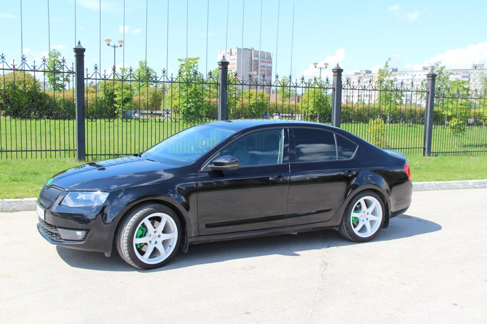 Skoda черный потолок