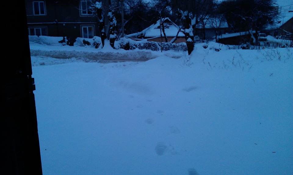 Фото в бортжурнале Lada 21093i