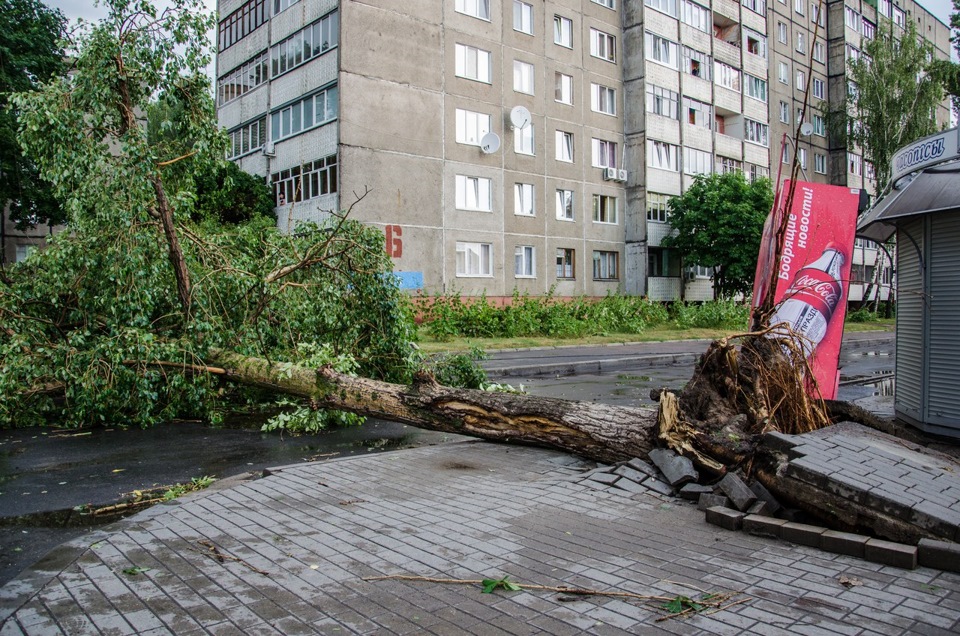 Последствия ветра. Последствия погоды. Погода катаклизмы в Гомеле Беларуси. Погода и последствия картинка.