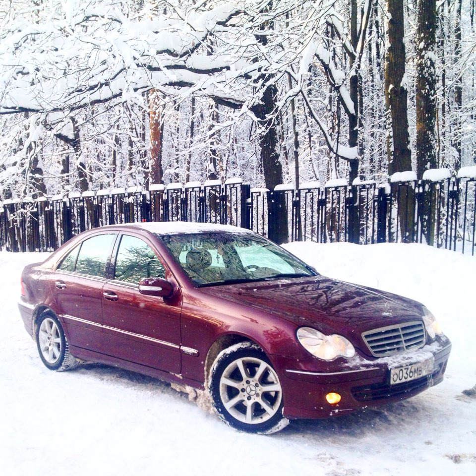 503615 Гайка Peugeot Citroen | Запчасти на DRIVE2