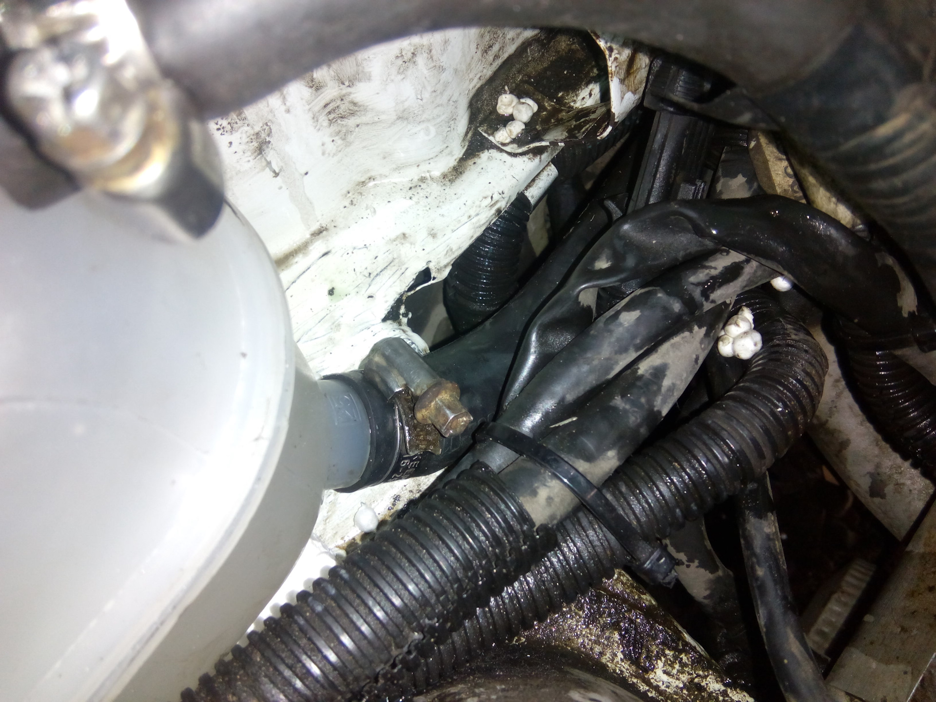 Расширительный бачок от Ланос — ЗАЗ 1105, 1,2 л, 2008 года | тюнинг ...