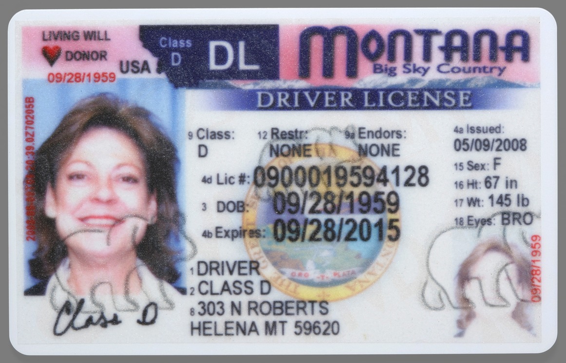 driver license