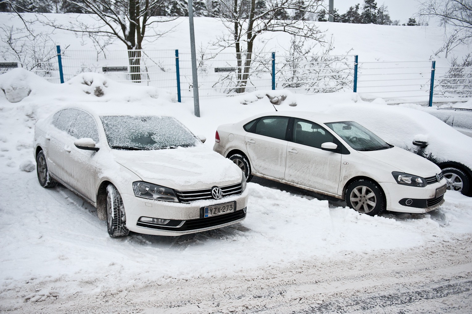 volkswagen passat polo