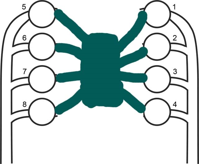 Порядок работы цилиндров газ 66