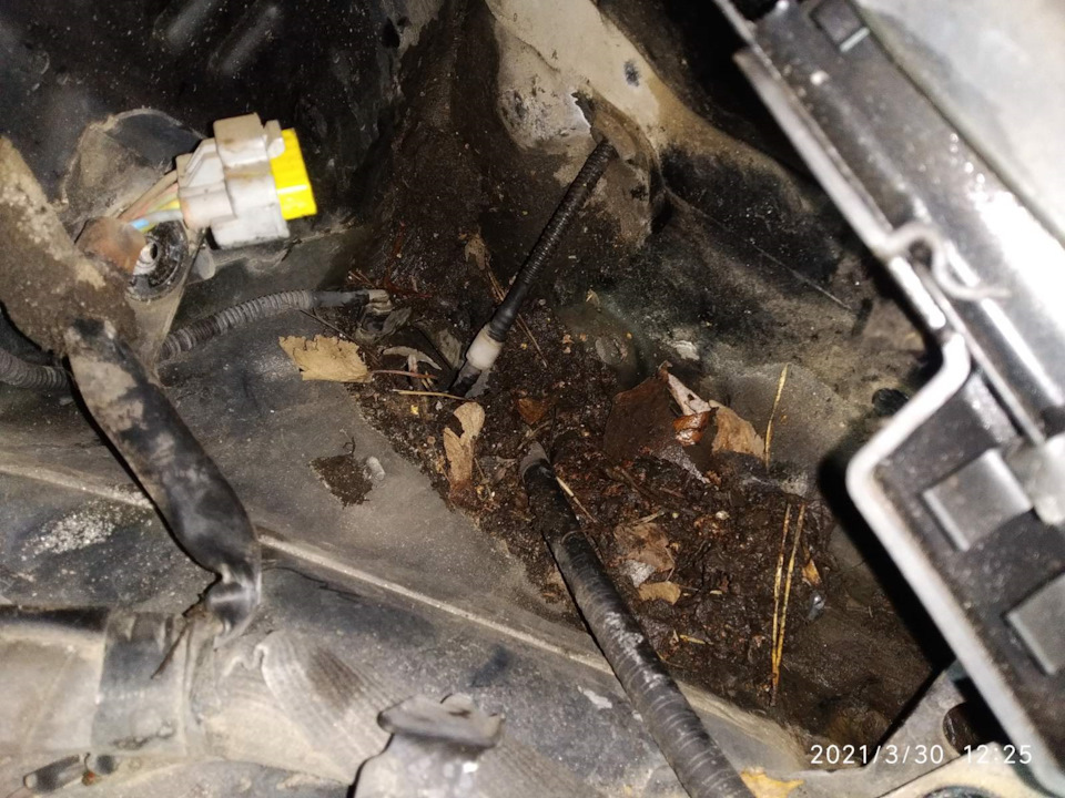 Фото в бортжурнале Citroen C5 (2G)