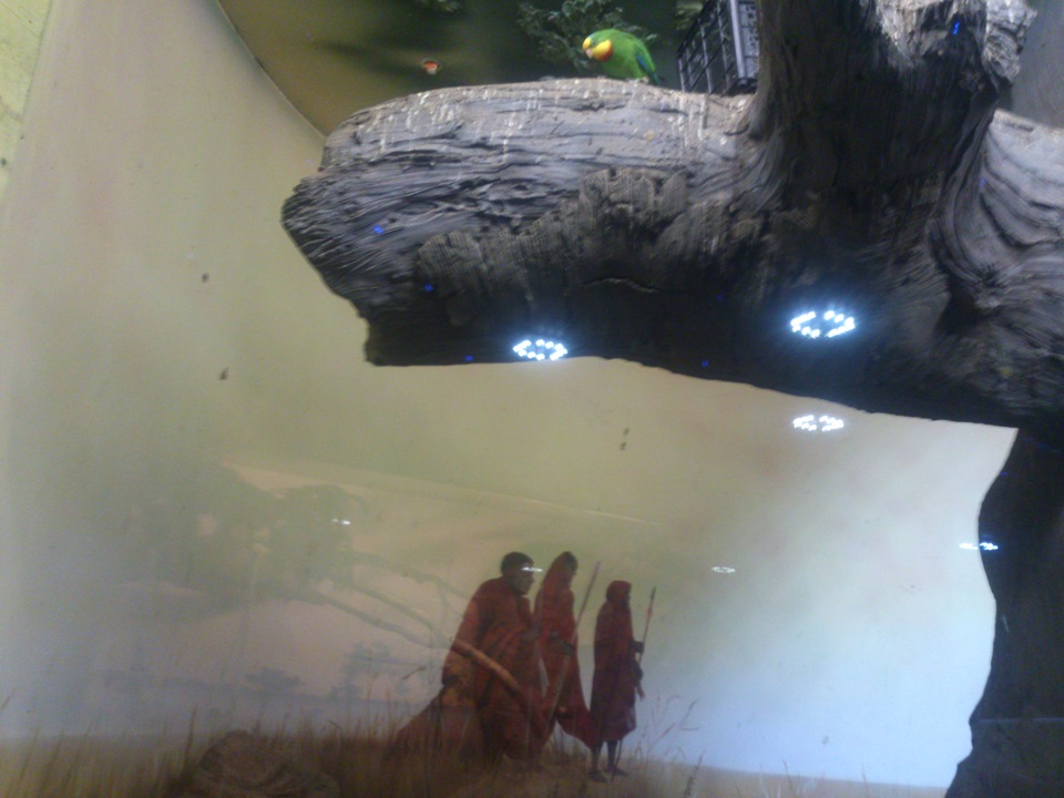 Поездка в РИО в Экозоопарк. Часть 1. — DRIVE2