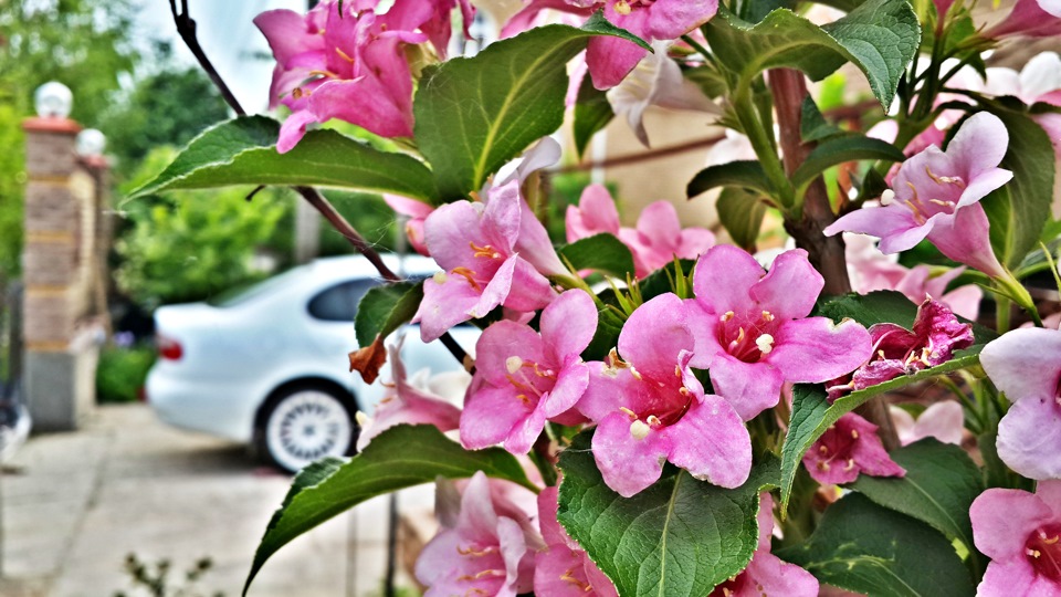 Ремонт интеркулера холодной сваркой. Вернул бампер Cupra R — SEAT ...