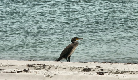 Фото в бортжурнале Mitsubishi L200 (4G)