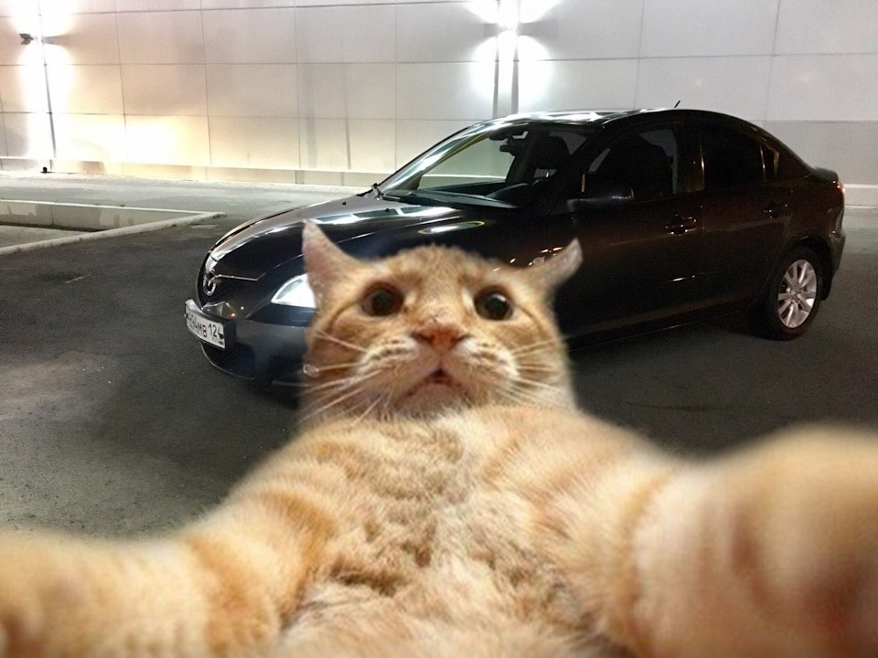 Меняем аккумулятор! — Mazda 3 (1G), 1,6 л., 2007 года | электроника ...