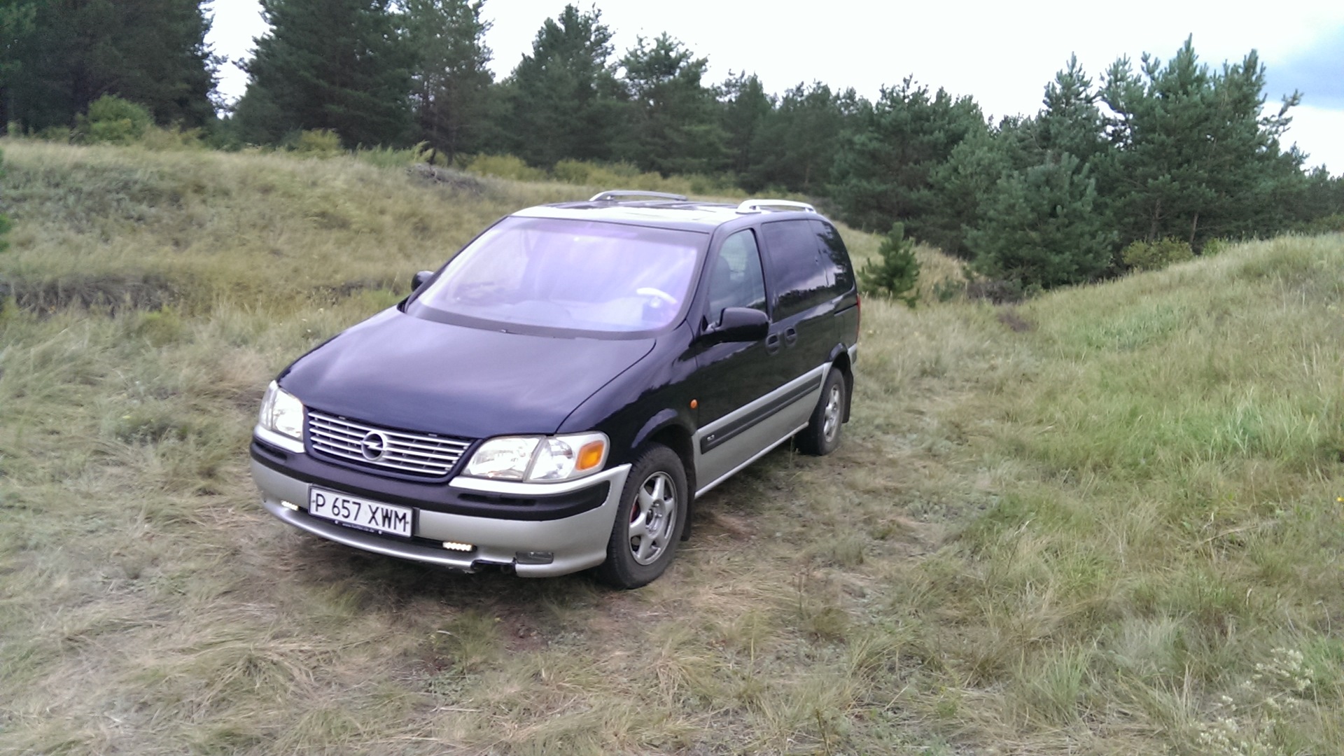 Opel Sintra 2.2 бензиновый 1997 | на DRIVE2