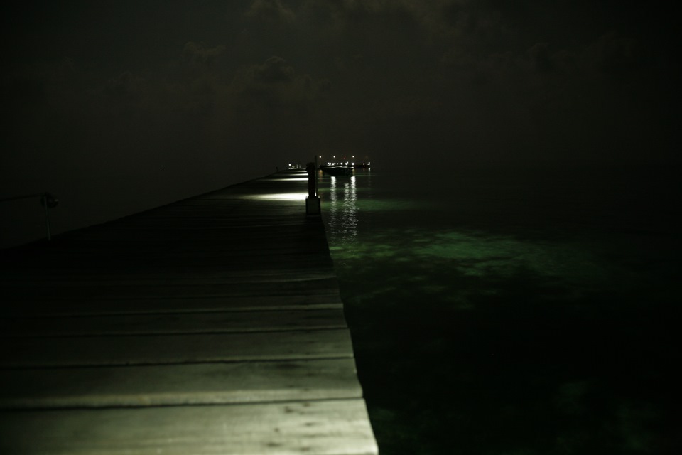 Пока суть да дело… — ГАЗ 2410, 0,5 л, 1990 года | тюнинг | DRIVE2