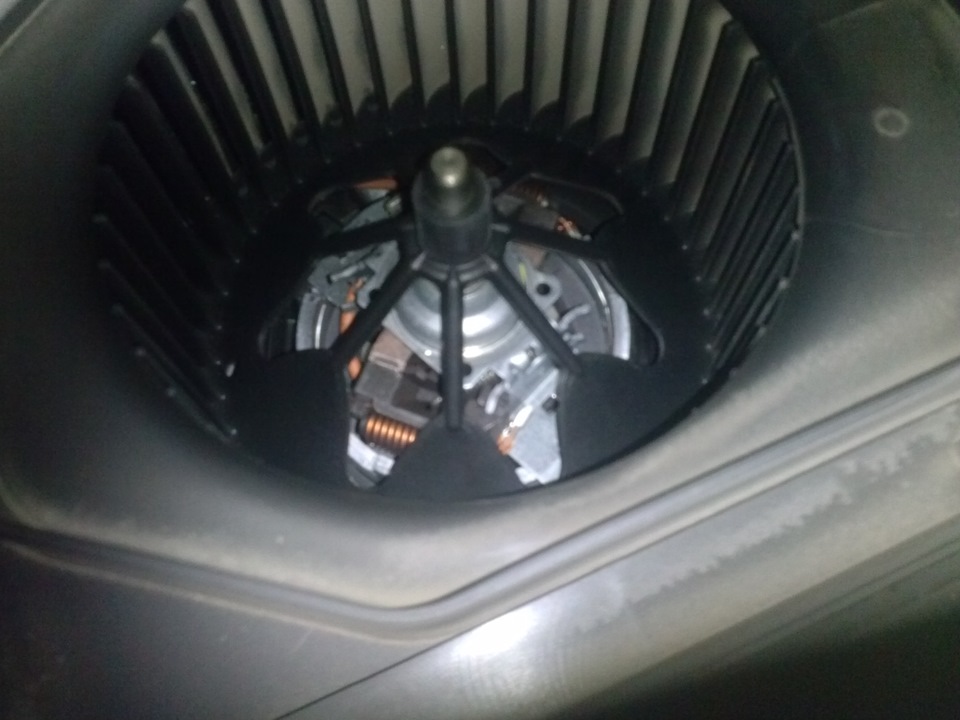 Новый Карлсон, вроде чистый еще — Skoda Octavia A5 Mk2