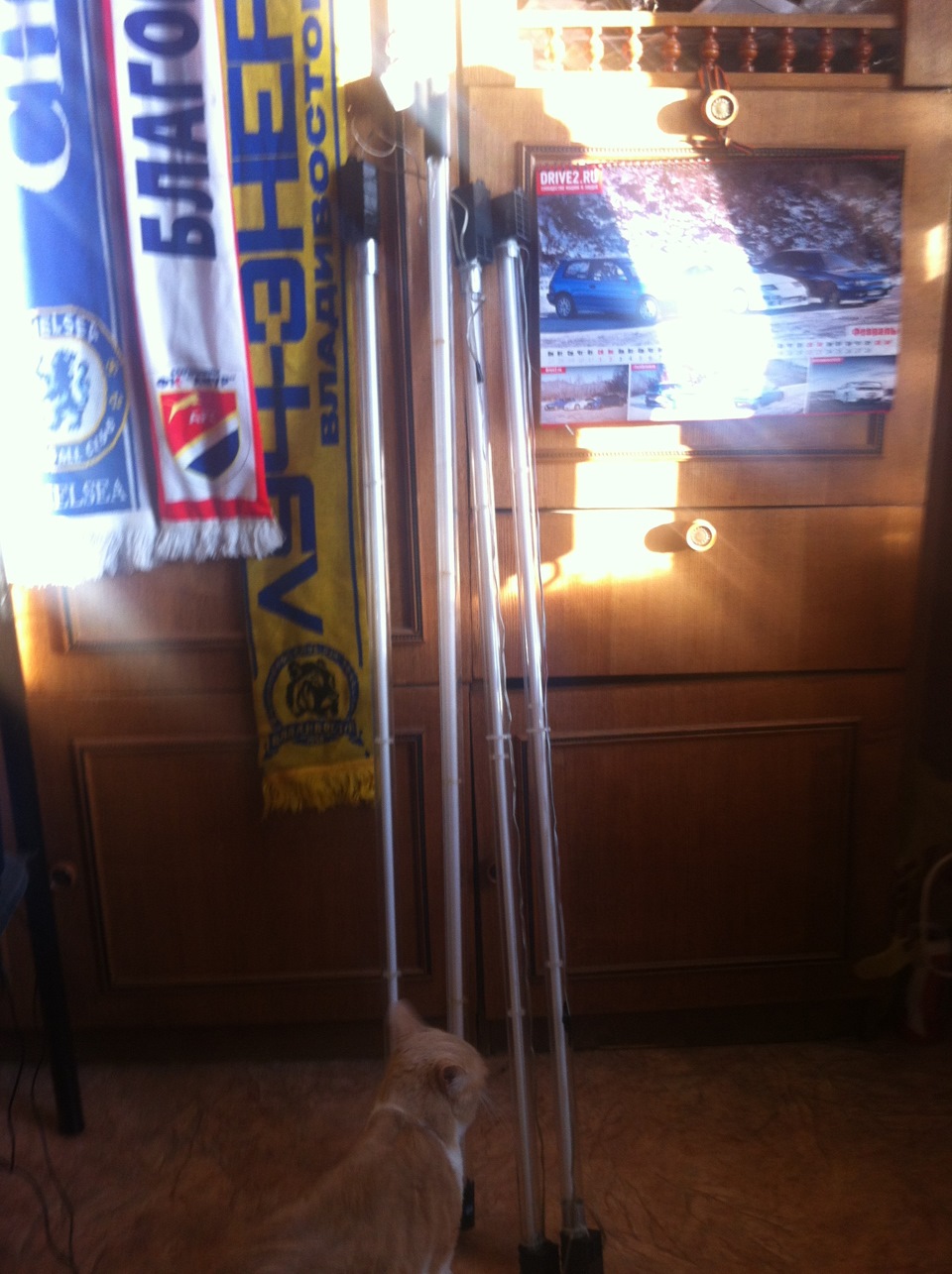 Неон под днище 2 — Nissan 300ZX (Z32), 3 л, 1991 года | стайлинг | DRIVE2