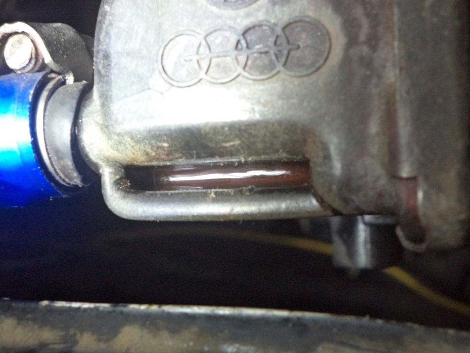 Ревность Кабрика к Кедику))) — Volkswagen Golf Cabriolet Mk1, 2 л, 1984 ...