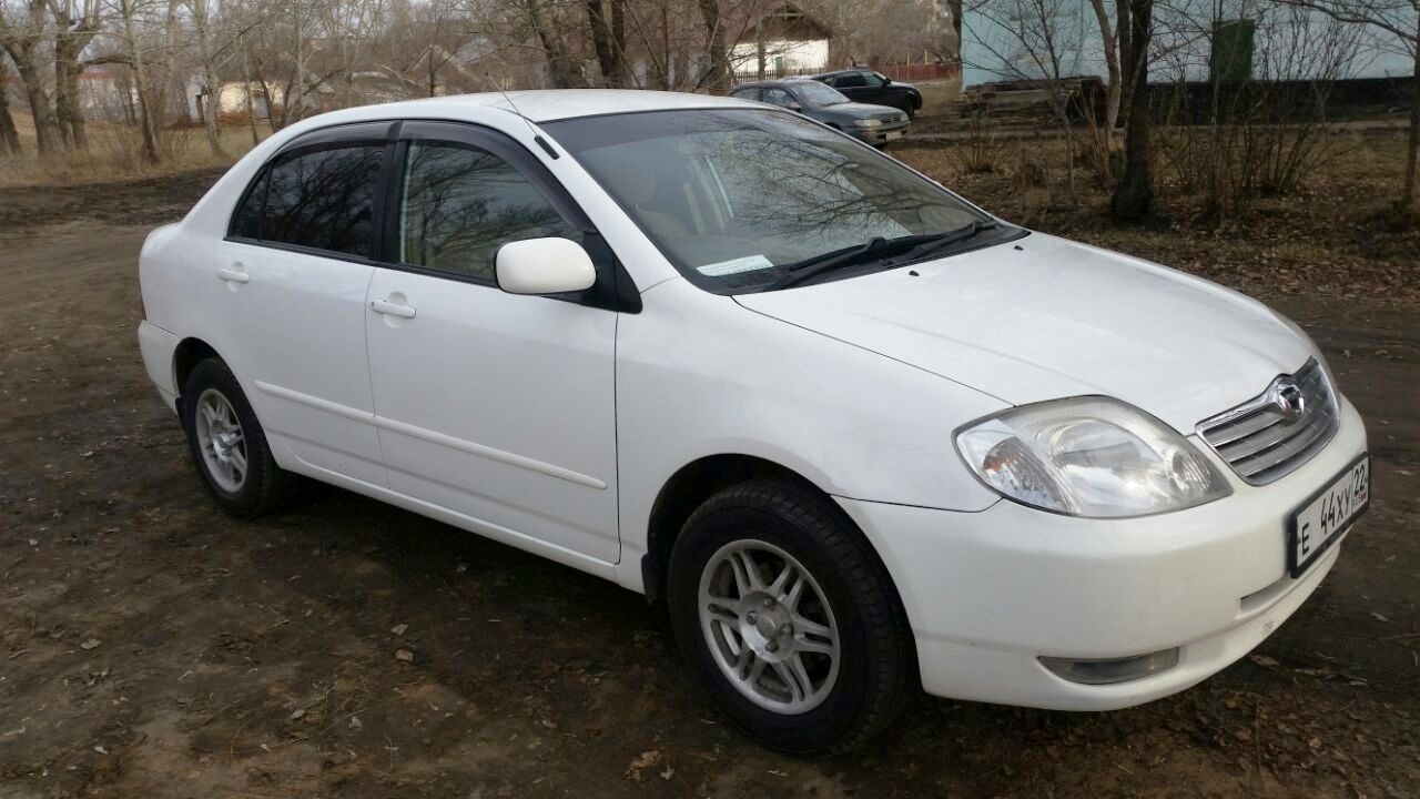 Купить королла 2002. Toyota Corolla 2002. Тойота Королла 2002 года. Тацоат Королла 2002. Тойота Королла белая 2002.