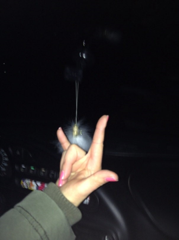 У всех Тойоты, Шкоды и Вольксвагены, а у меня — Скотчмобиль ...