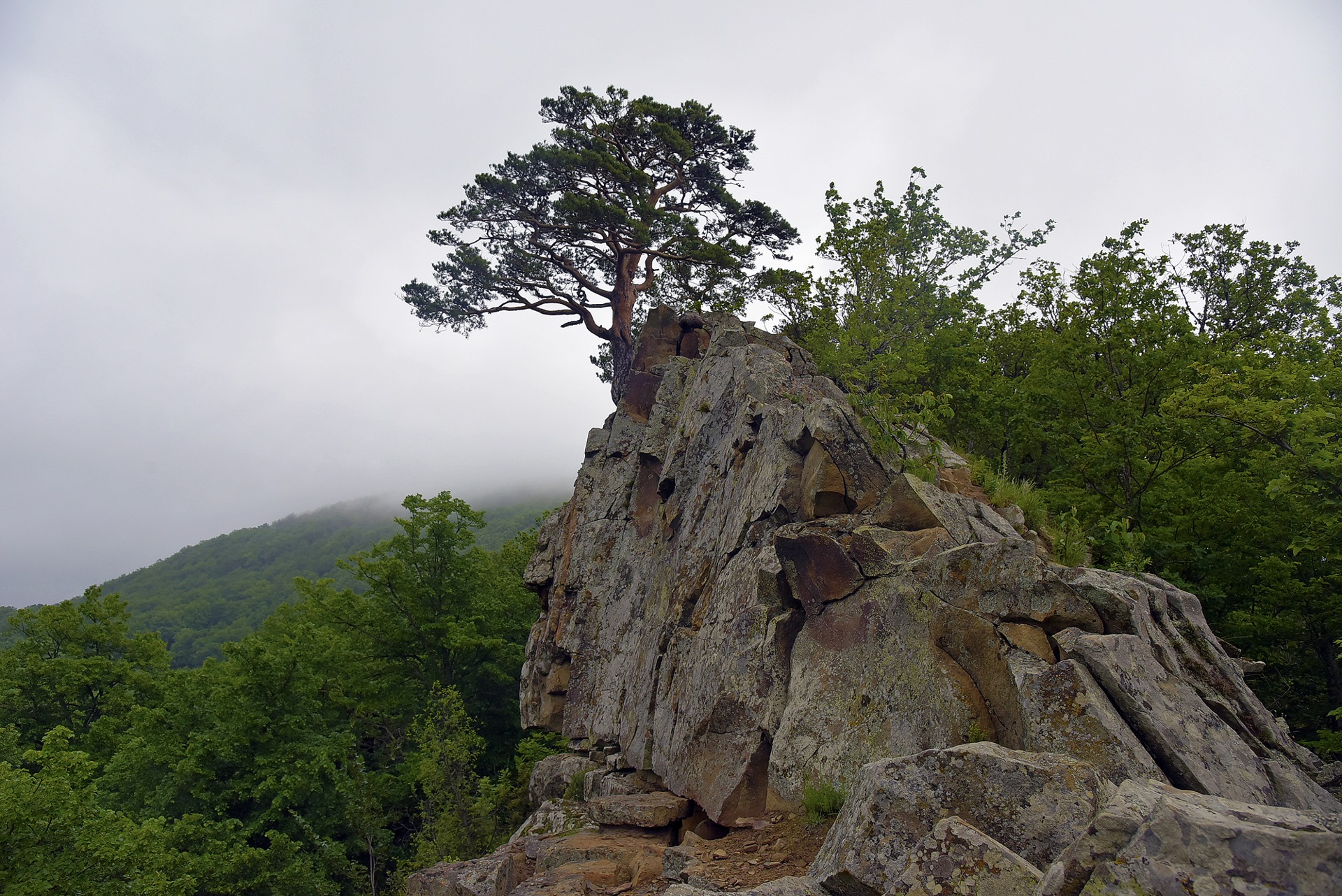 Планческие скалы