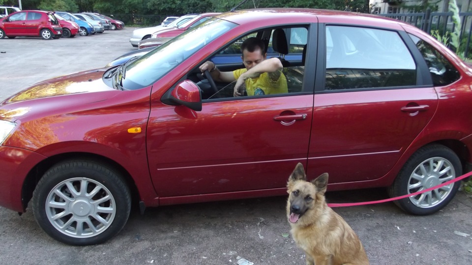 Как пришло решение о покупке Гранты — Lada Гранта (1G), 1,6 л, 2013 ...